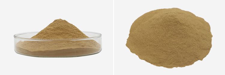 Gingerol 5% 10% 20% Gingerol 5% 10% 20%