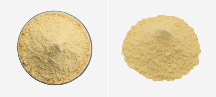 Passion Fruit Juice Powder 2 Passion Fruit Juice Powder 2
