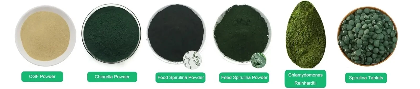 Chlorella Growth Factor