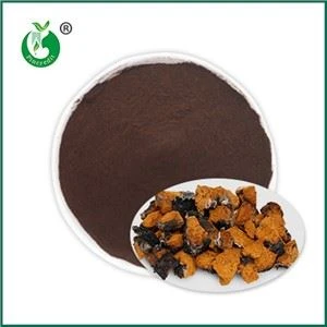 Trab tal-Estratt taċ-Chaga