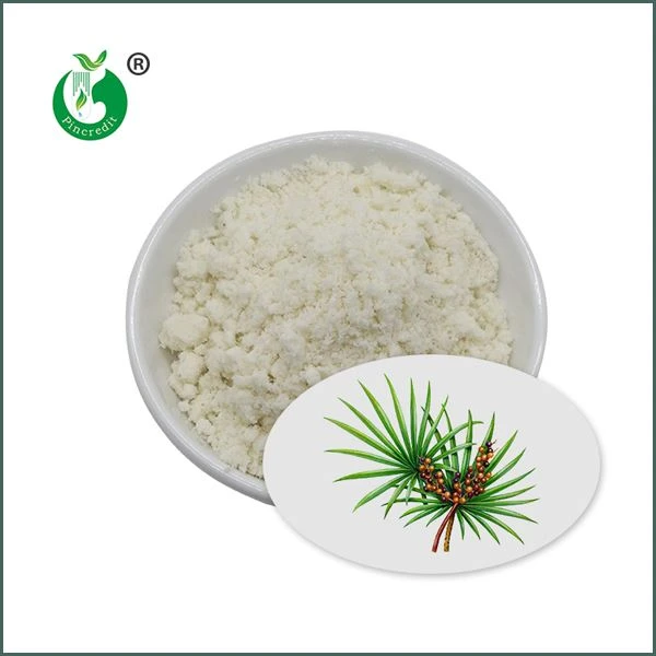 Trab tal-Estratt tal-Palmetto Rat