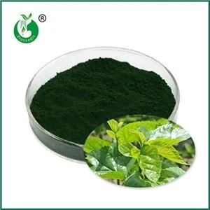 X'inhu Sodium Copper Chlorophyllin? Għal xiex Jintuża?