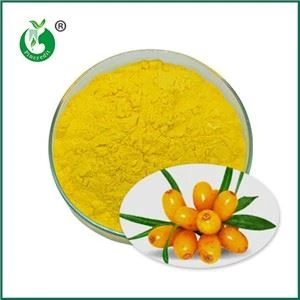 Proprjetajiet, Użi u Proċess ta 'Produzzjoni tat-Trab tal-Meraq tal-Seabuckthorn