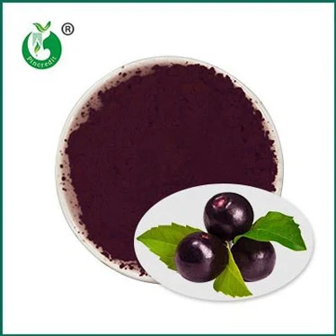 Acai Pur huwa Tajjeb għalik?