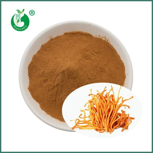 Cordyceps Militaris Estratt Trab