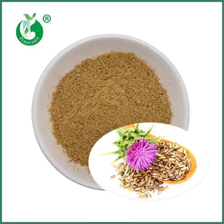 Ħalib Thistle Żerriegħa Estratt Silymarin Silybins