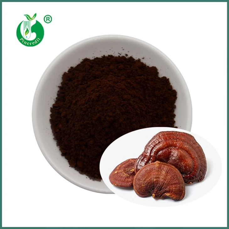 Reishi Spore Trab